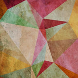Canvas Interconnected Triangles 2