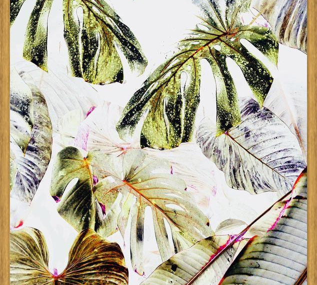 Cuadro Vintage Tropica