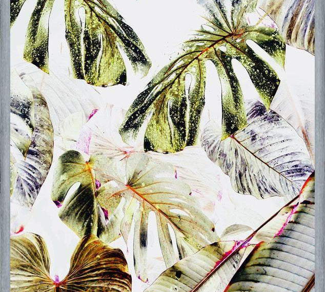 Cuadro Vintage Tropica