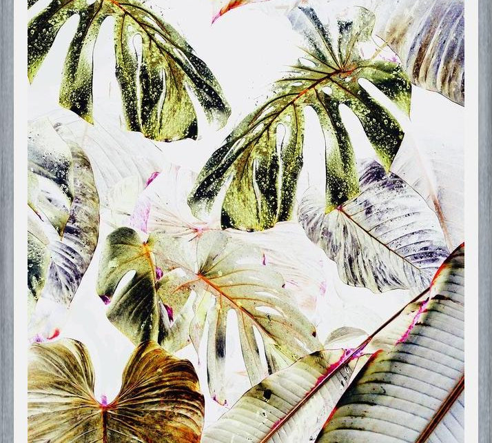 Cuadro Vintage Tropica