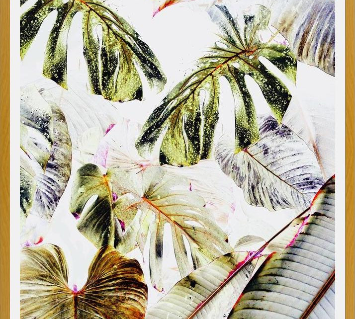 Cuadro Vintage Tropica