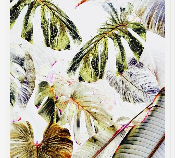 Cuadro Vintage Tropica