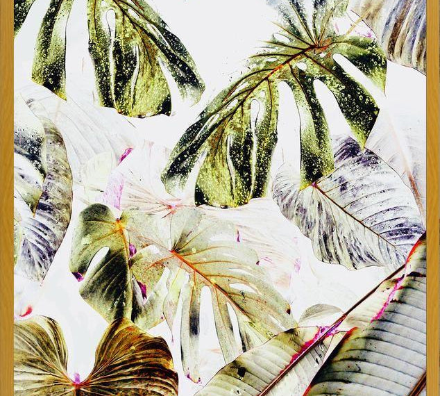 Cuadro Vintage Tropica
