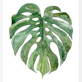 Cuadro Leaf #3
