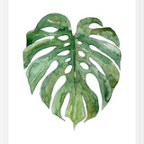 Cuadro Leaf #3
