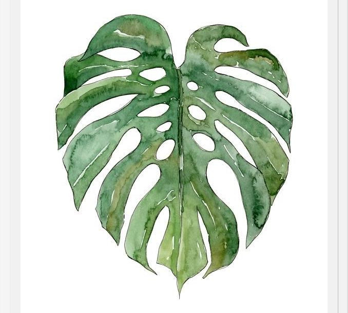 Cuadro Leaf #3