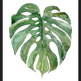 Cuadro Leaf #3