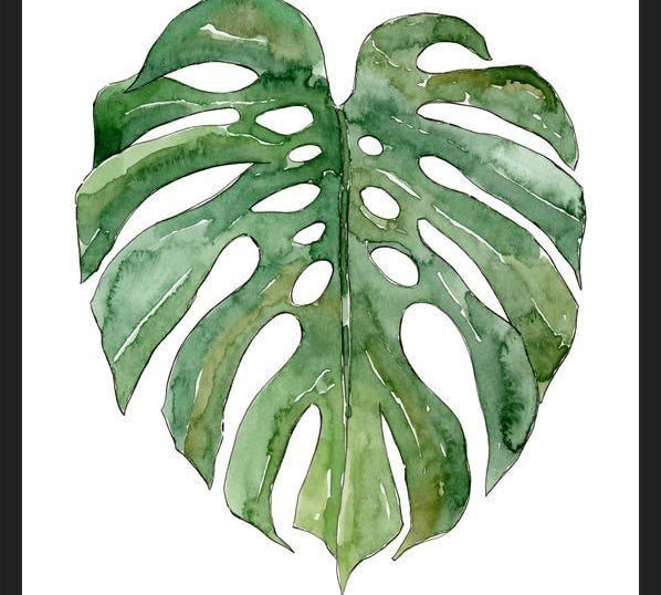 Cuadro Leaf #3