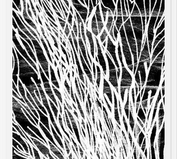 Cuadro Colección Texturas del Desierto - 3
