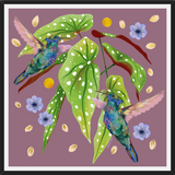 Cuadro Colibris