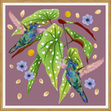 Cuadro Colibris