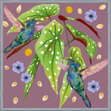 Cuadro Colibris