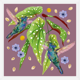 Cuadro Colibris
