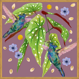 Cuadro Colibris