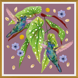 Cuadro Colibris
