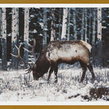 Cuadro Reindeer