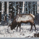 Cuadro Reindeer