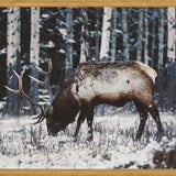 Cuadro Reindeer