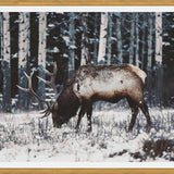 Cuadro Reindeer