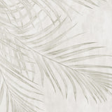 Papel Mural Coconut