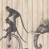 Papel Mural Camino de Animales