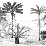 Papel Mural Palmeras
