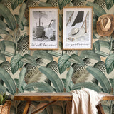 Papel Mural Tropical Vintage II