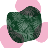 Canvas Organic Tropical Leaves Rose