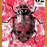 Cuadro BUGS #2