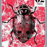 Cuadro BUGS #2