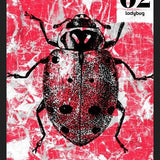 Cuadro BUGS #2