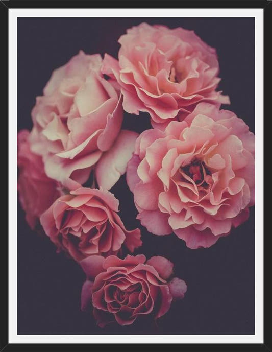 Cuadro Dreamy Roses