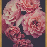 Cuadro Dreamy Roses