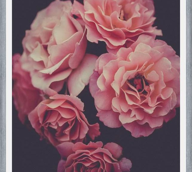 Cuadro Dreamy Roses