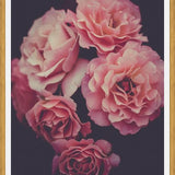 Cuadro Dreamy Roses