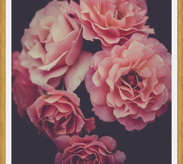 Cuadro Dreamy Roses