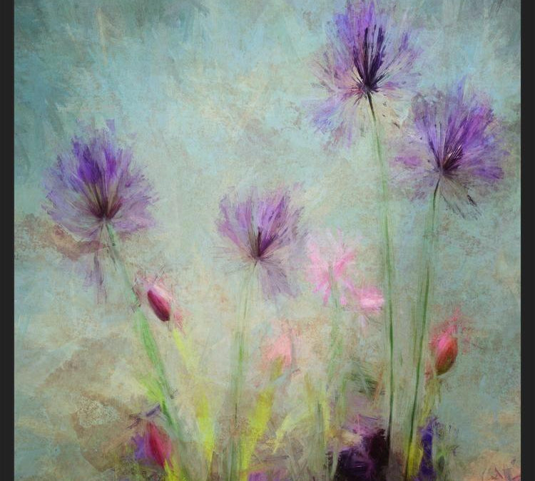 Cuadro Wildflowers