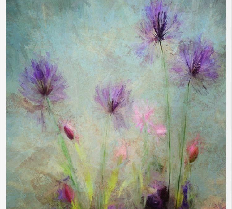 Cuadro Wildflowers
