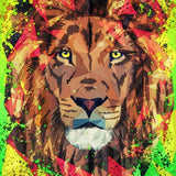 Canvas Do you  ROAR?