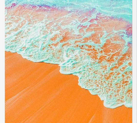 Cuadro Coral Shore