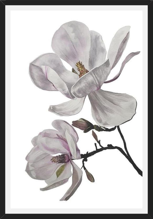 Cuadro Flores magnolia
