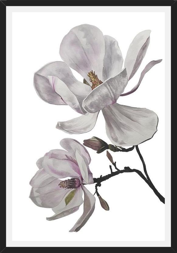Cuadro Flores magnolia