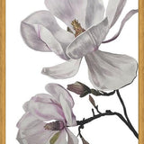 Cuadro Flores magnolia