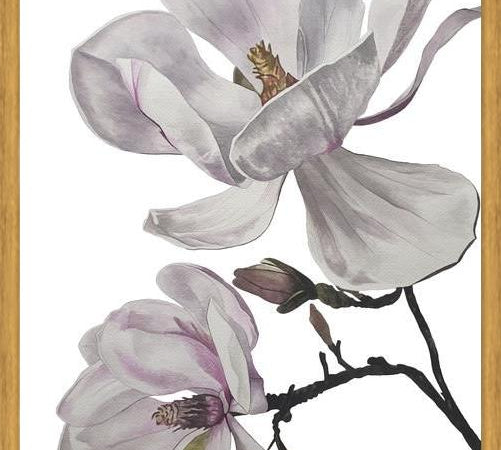 Cuadro Flores magnolia