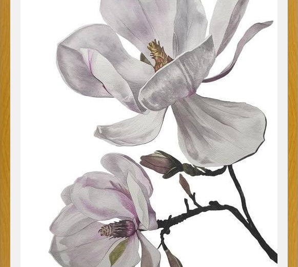 Cuadro Flores magnolia