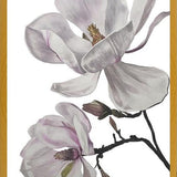Cuadro Flores magnolia