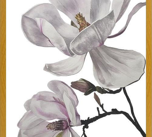 Cuadro Flores magnolia