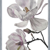 Cuadro Flores magnolia