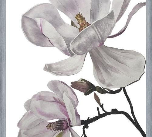 Cuadro Flores magnolia