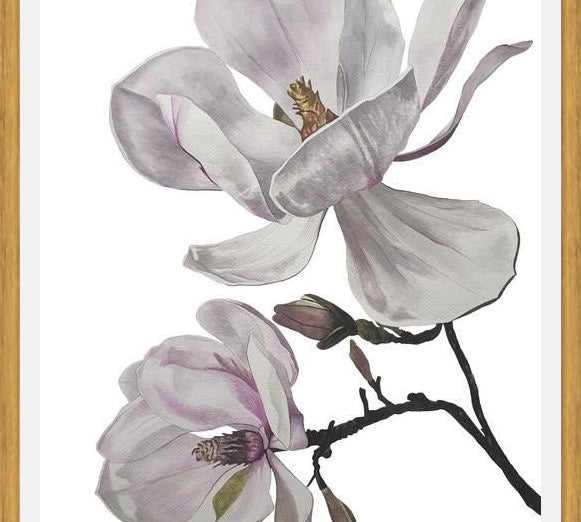 Cuadro Flores magnolia